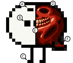 Cross Section